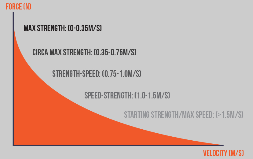 Biomechanics Description Page Image Four