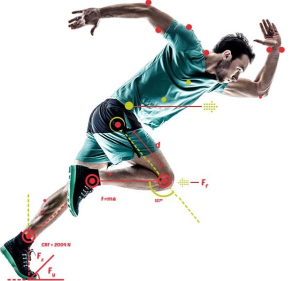 Biomechanics of Exercise and Sporting Continuing Education Course