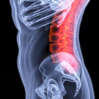 Spine Male torso under X-rays. The spine is highlighted in red.